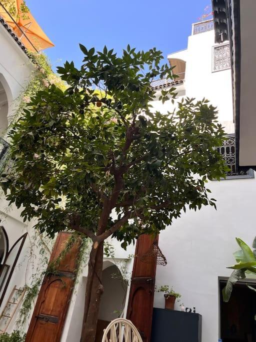 Riad Dar Fannan En Exclusivite Marrakesh Luaran gambar